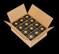 Paula Jiji Shito 12 Pack